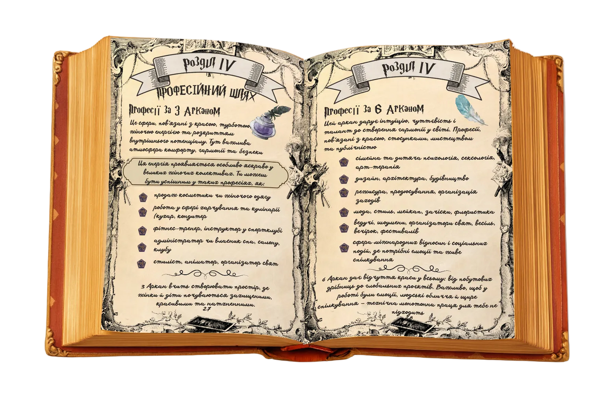 Chapter IV. Professional Path