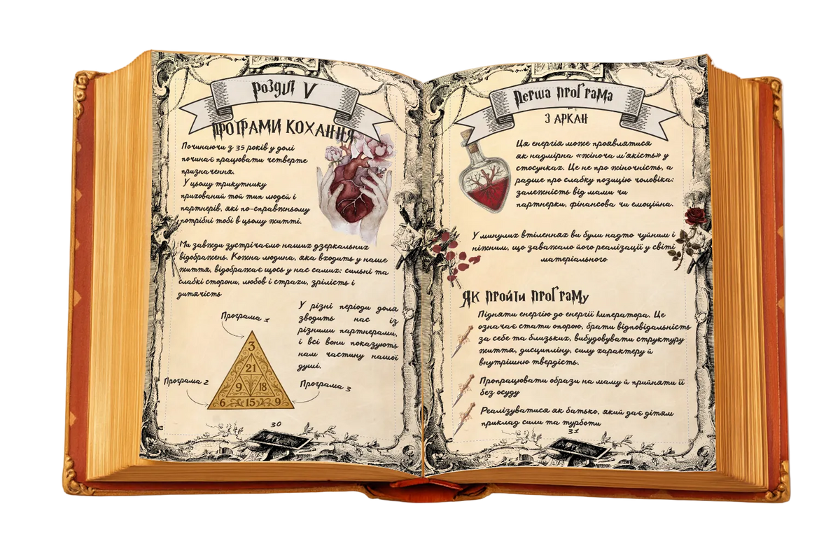 Chapter V. The Fourth Life Purpose — Love Programs