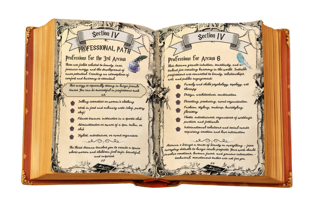 Chapter IV. Professional Path